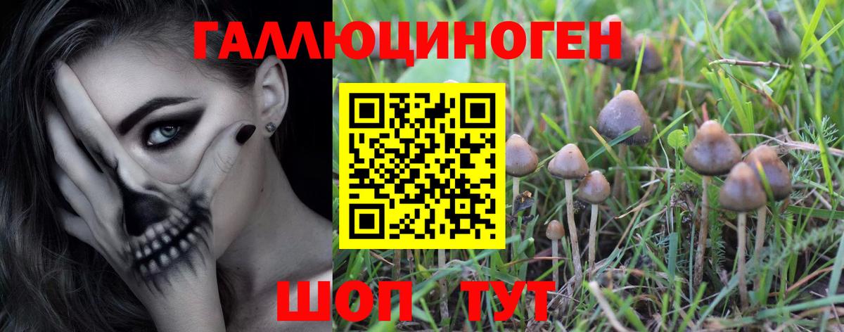 Галлюциногенные грибы Magic Shrooms Елизово